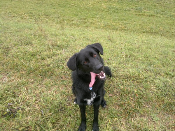 med_Ben.jpg (600 x 450)